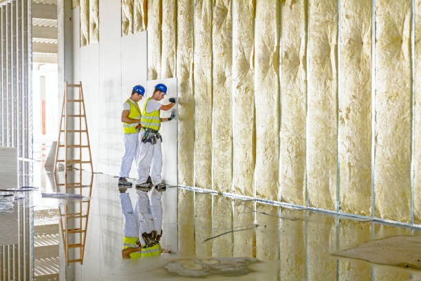 Types of Insulation We Offer in Algonquin, IL